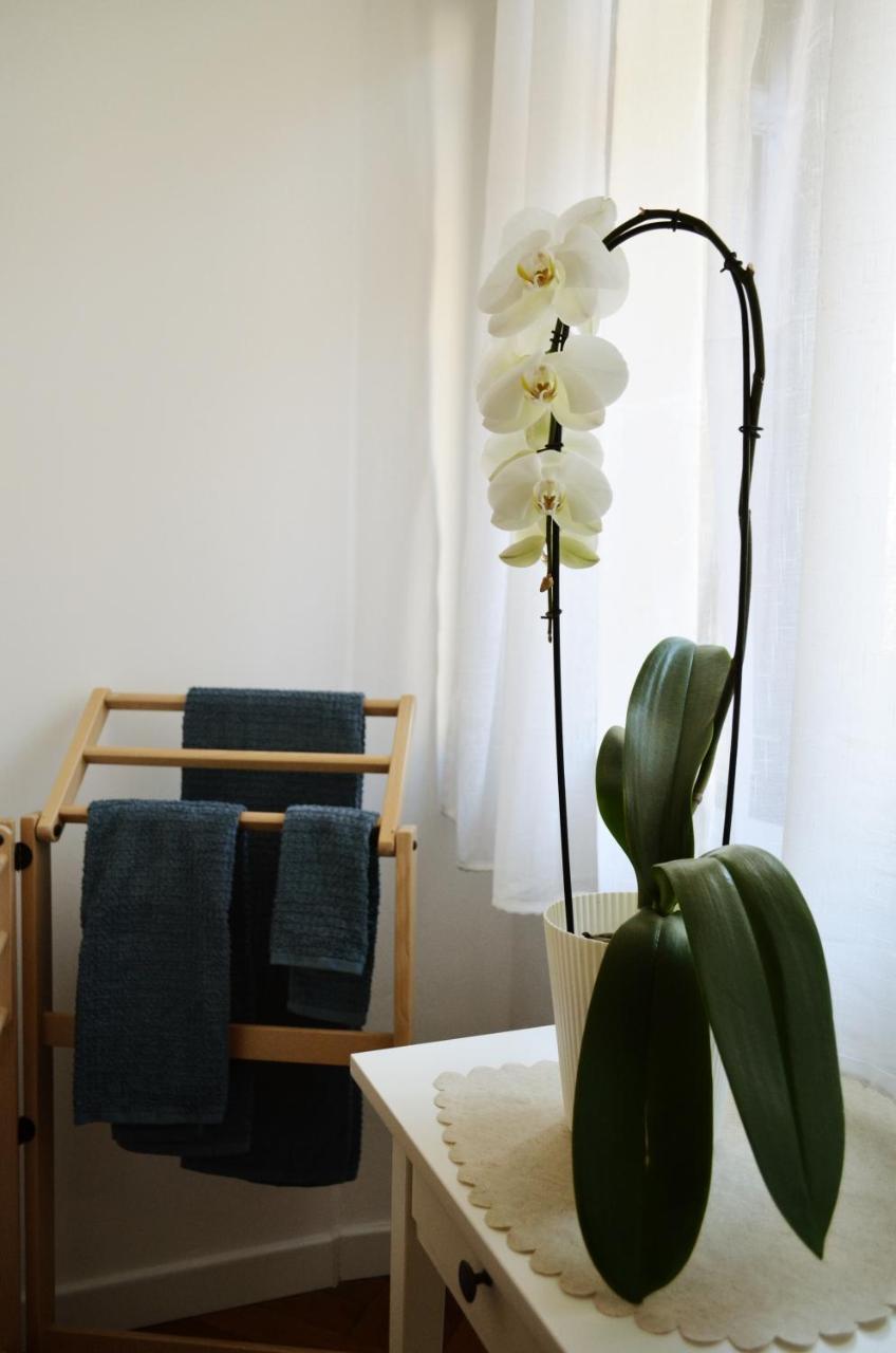 Punto8 Bed and Breakfast Trieste Eksteriør billede